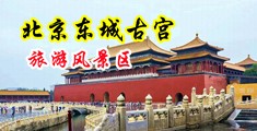 阴道黄色网站中国北京-东城古宫旅游风景区